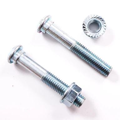 Zenk plake Oval Neck Bolt